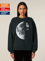 Fly me to the Moon