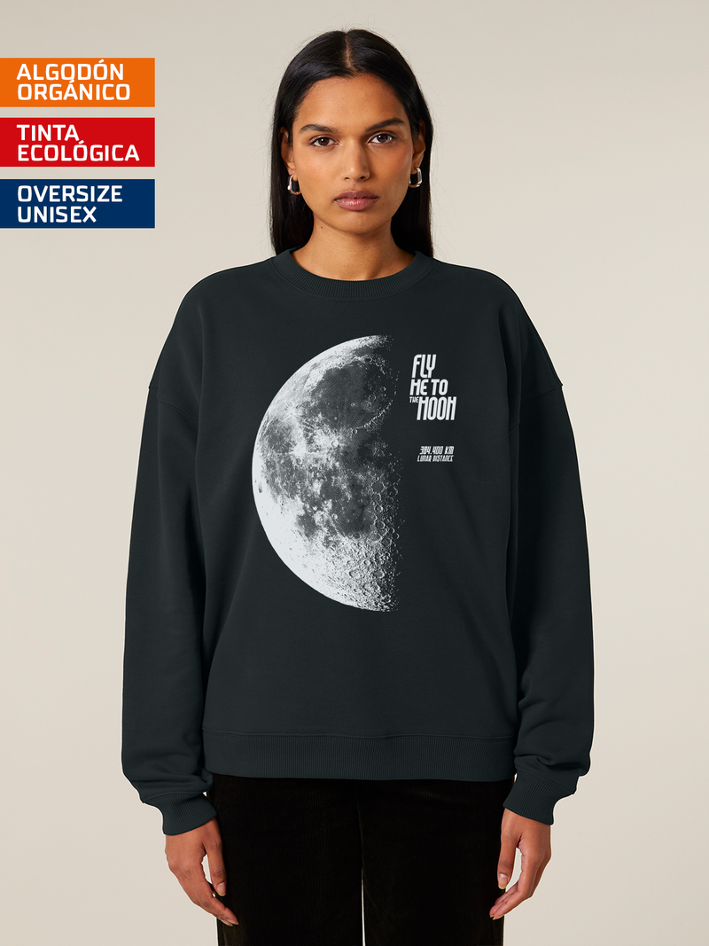 Fly me to the Moon