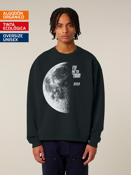 Fly me to the Moon