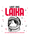Sudadera Lost dog